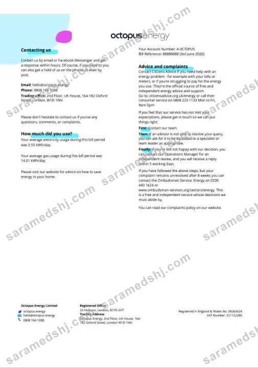 United Kingdom Octopus Energy utility bill template in Word and PDF format, 3 pages 3